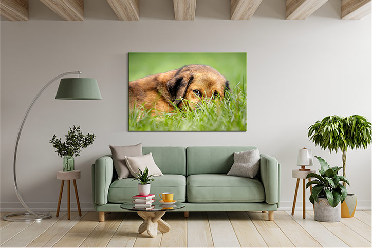 Living room with Dog Canvas